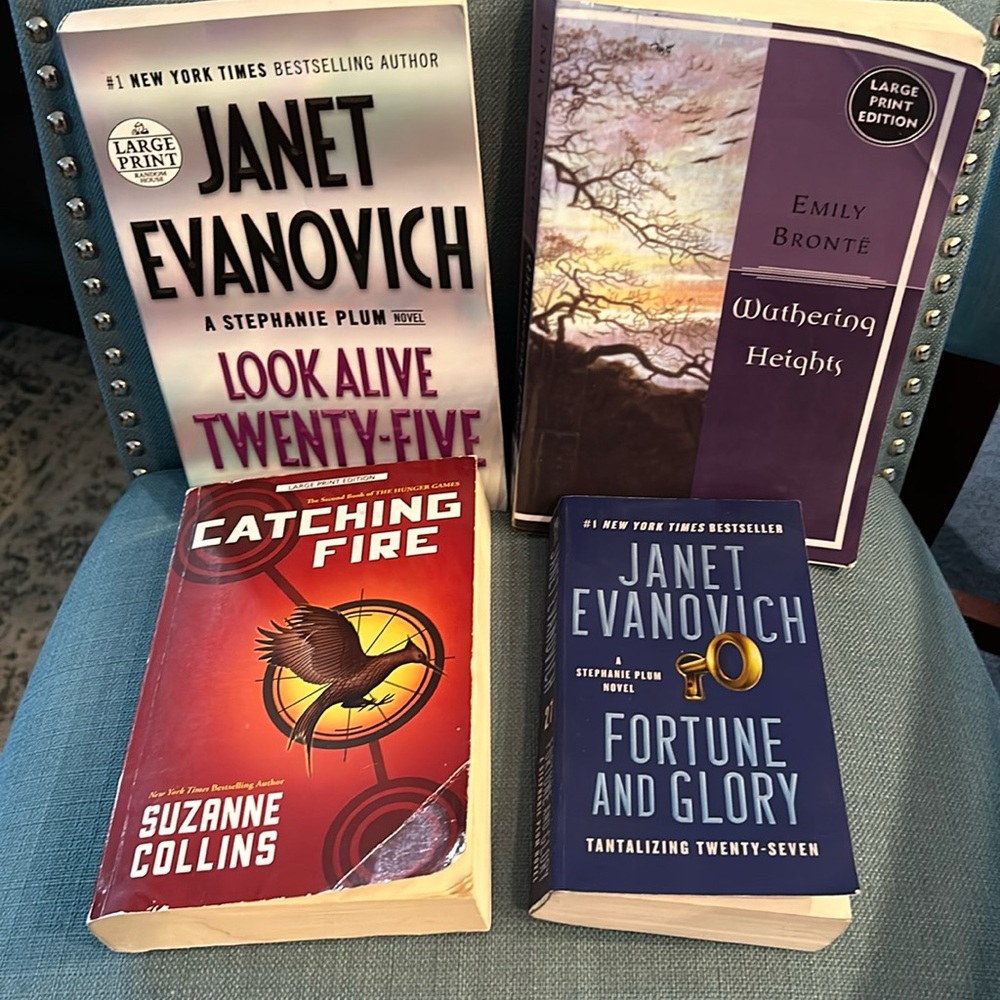 Adult books, 4 book lot, 3 are LARGE PRINT